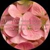 leafandpetal11